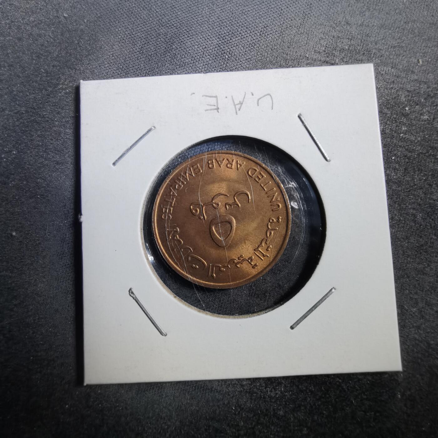 沼泽如烟--第708场