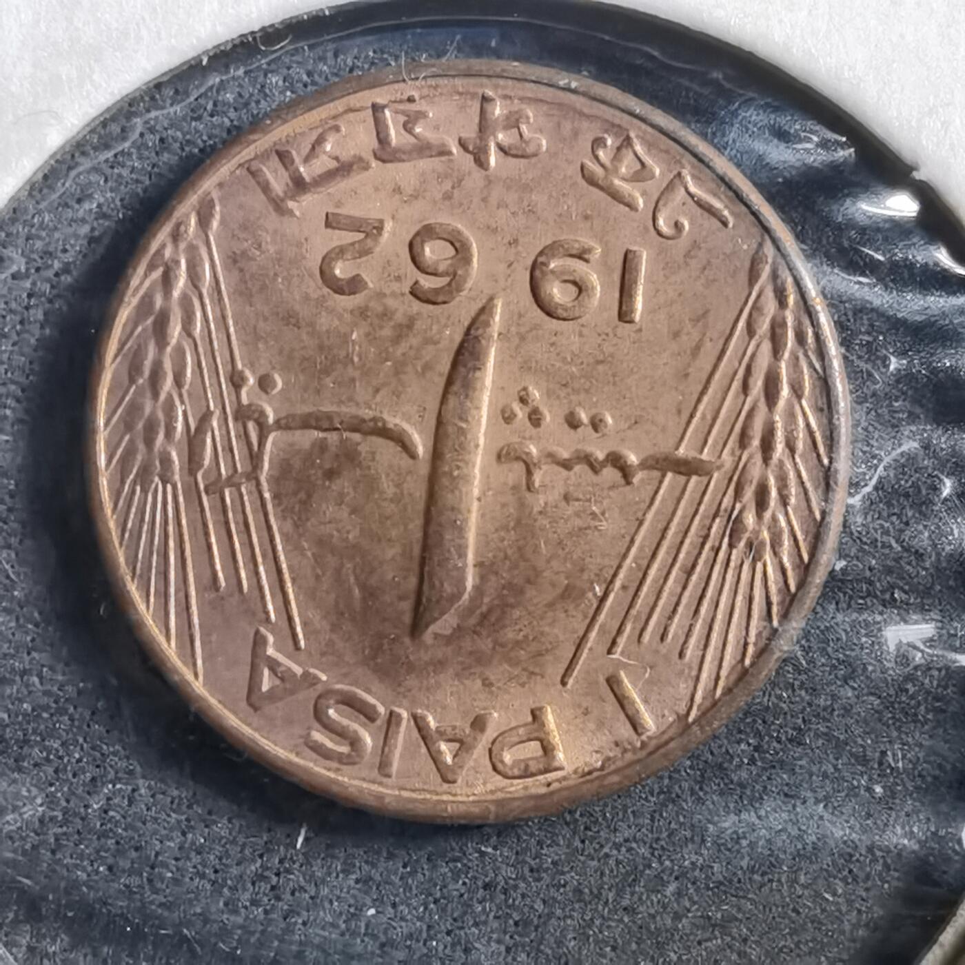 沼泽如烟--第708场