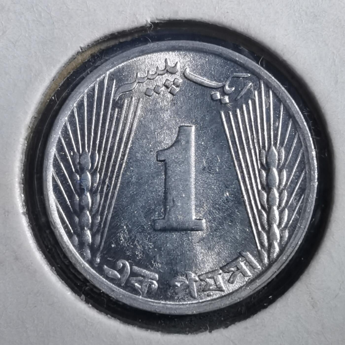 沼泽如烟--第708场