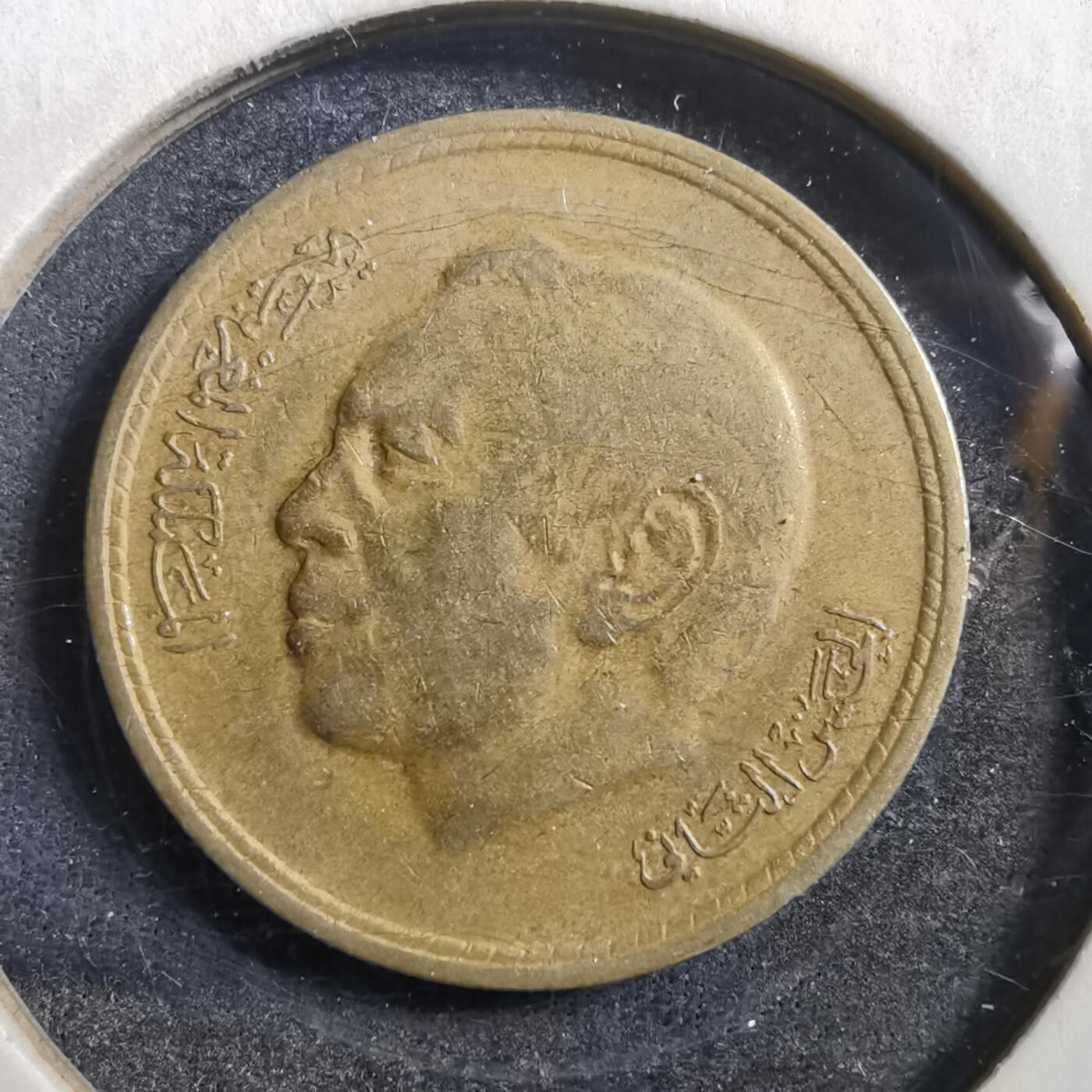 沼泽如烟--第708场