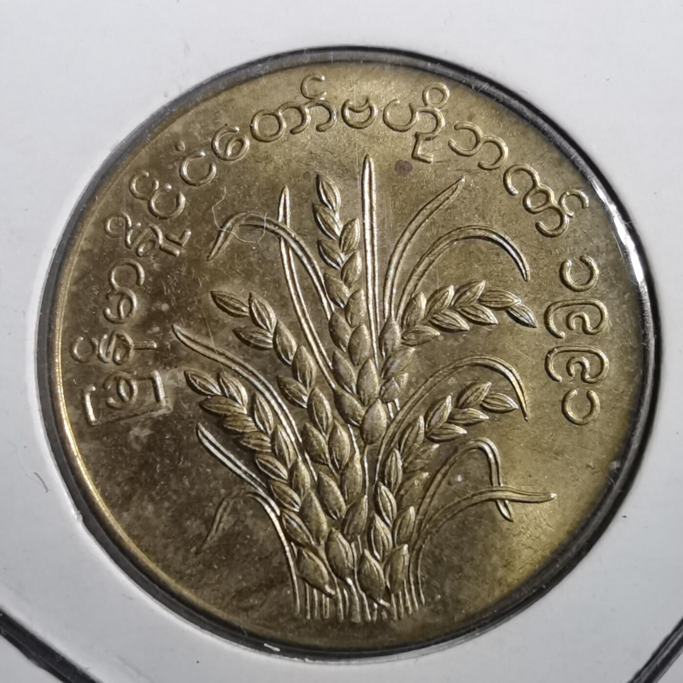 沼泽如烟--第708场