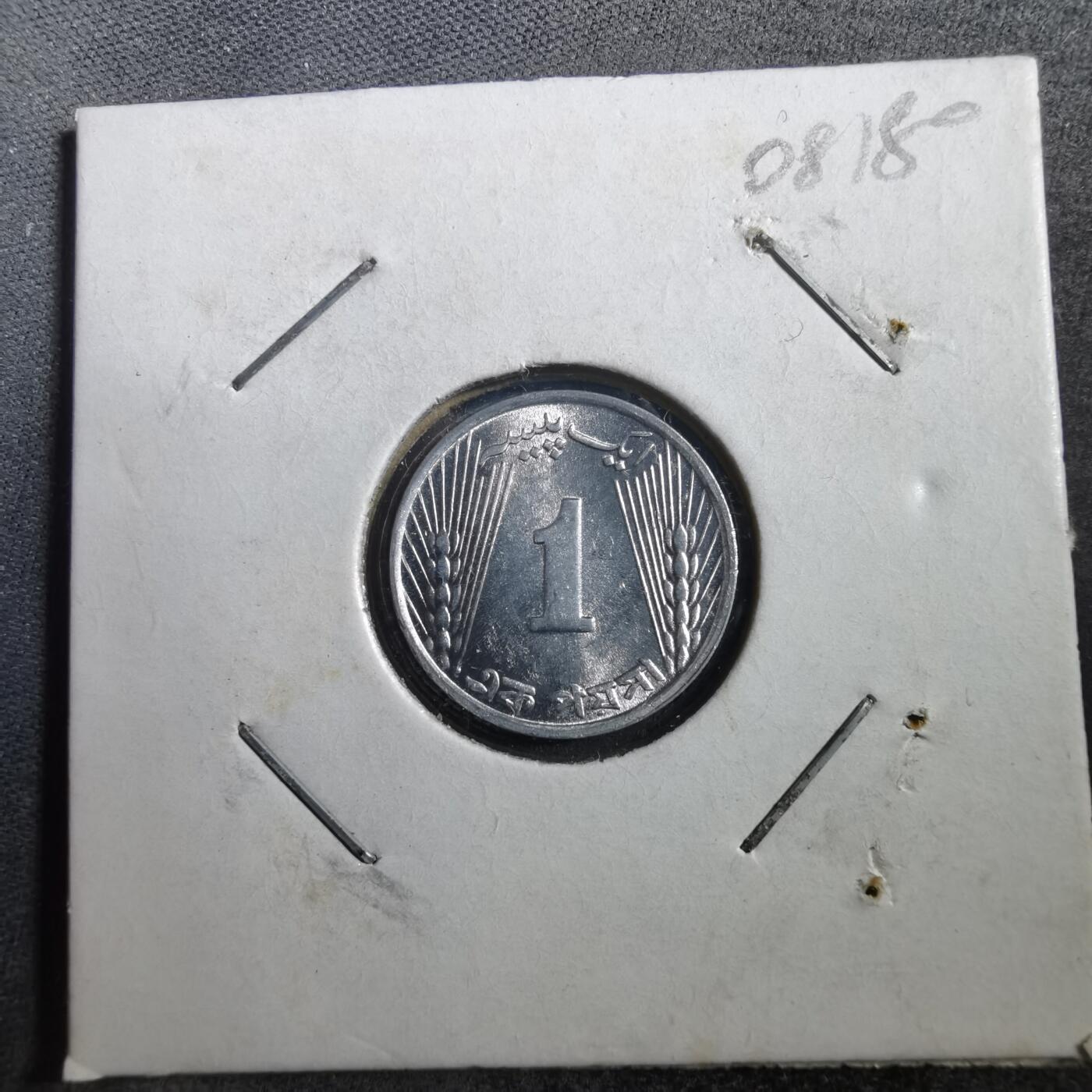 沼泽如烟--第708场