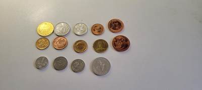 2025第十六期  14枚散币