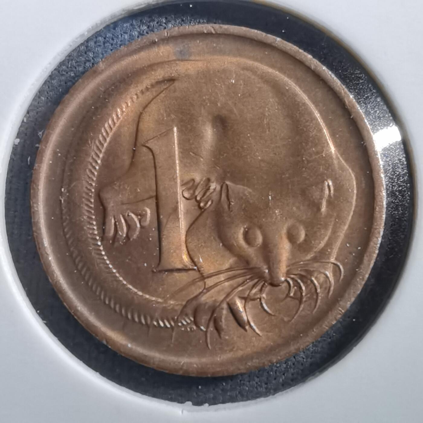 沼泽如烟--第708场