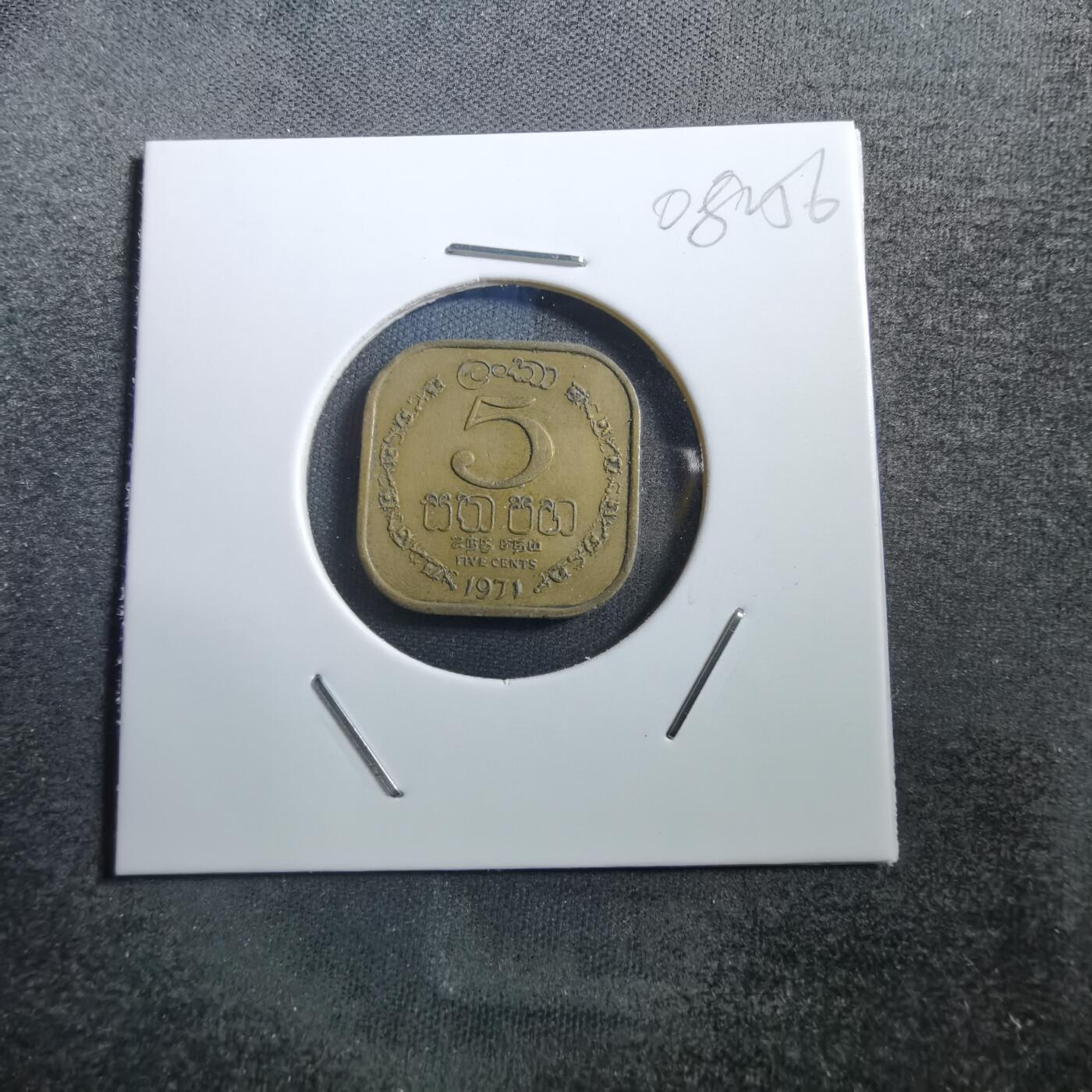 沼泽如烟--第708场