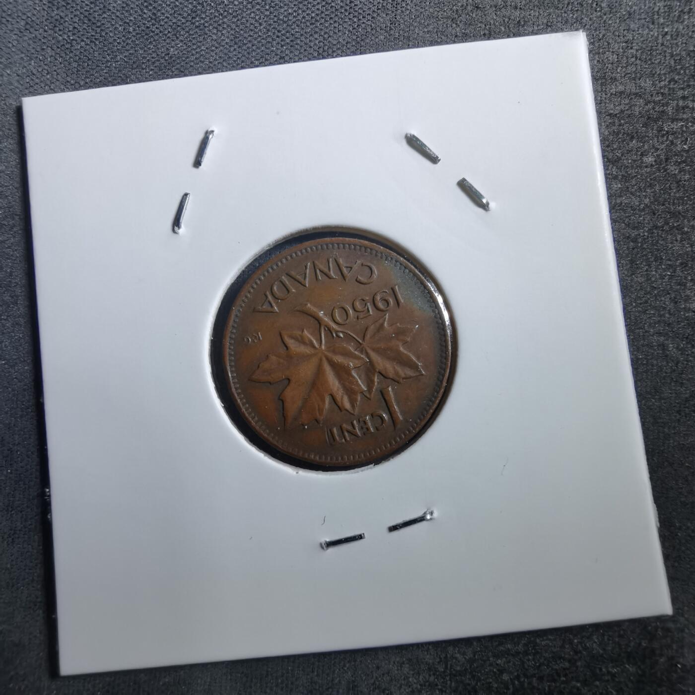 沼泽如烟--第708场