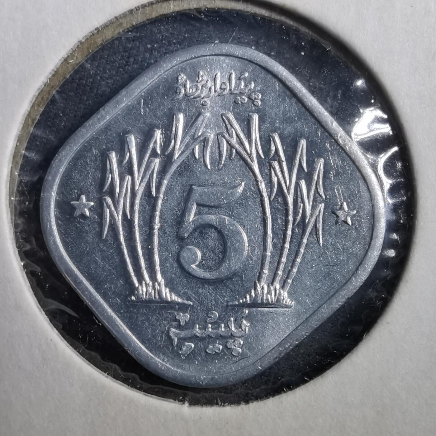 沼泽如烟--第708场