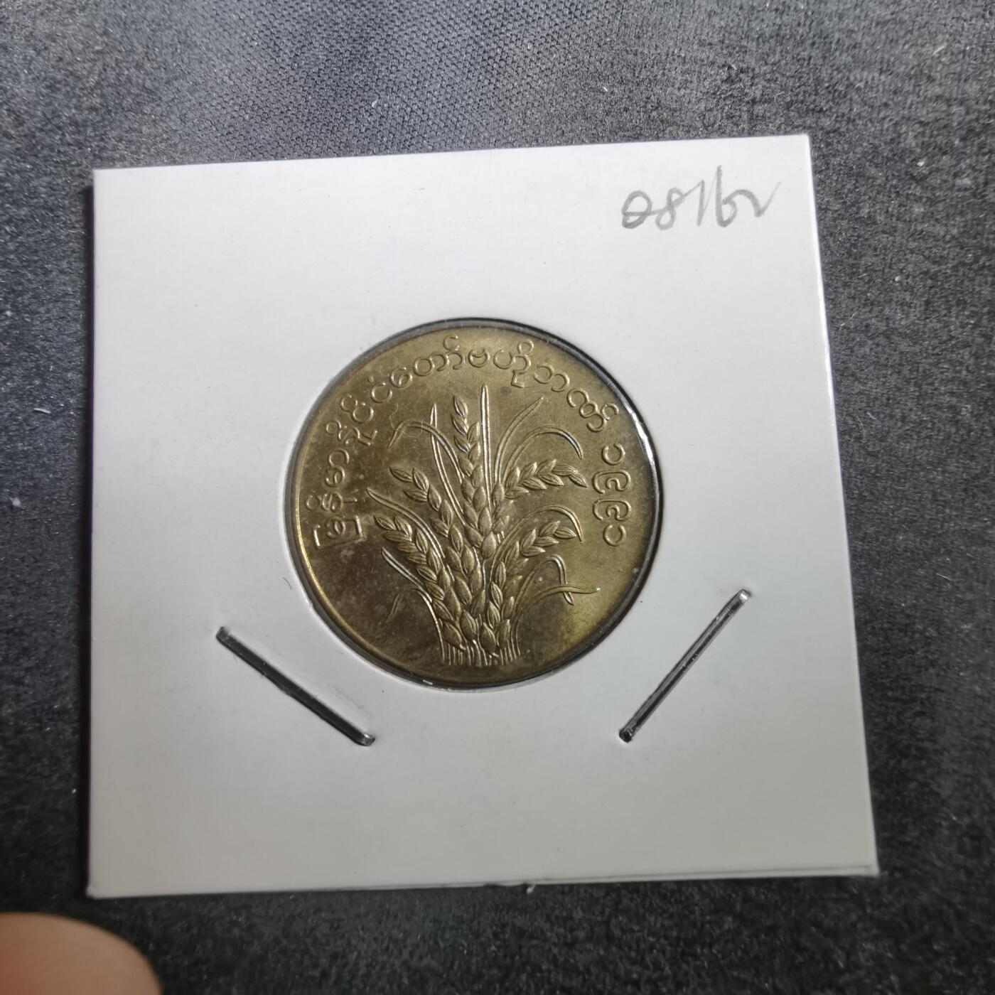 沼泽如烟--第708场