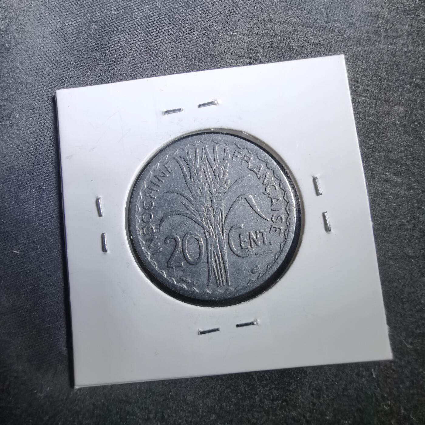 沼泽如烟--第708场