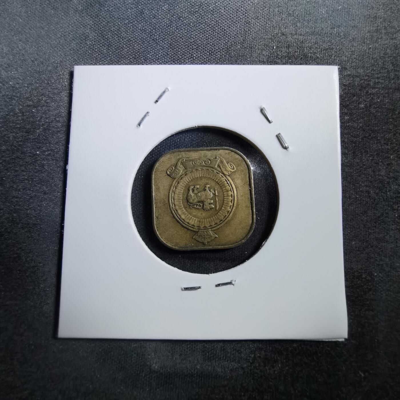 沼泽如烟--第708场