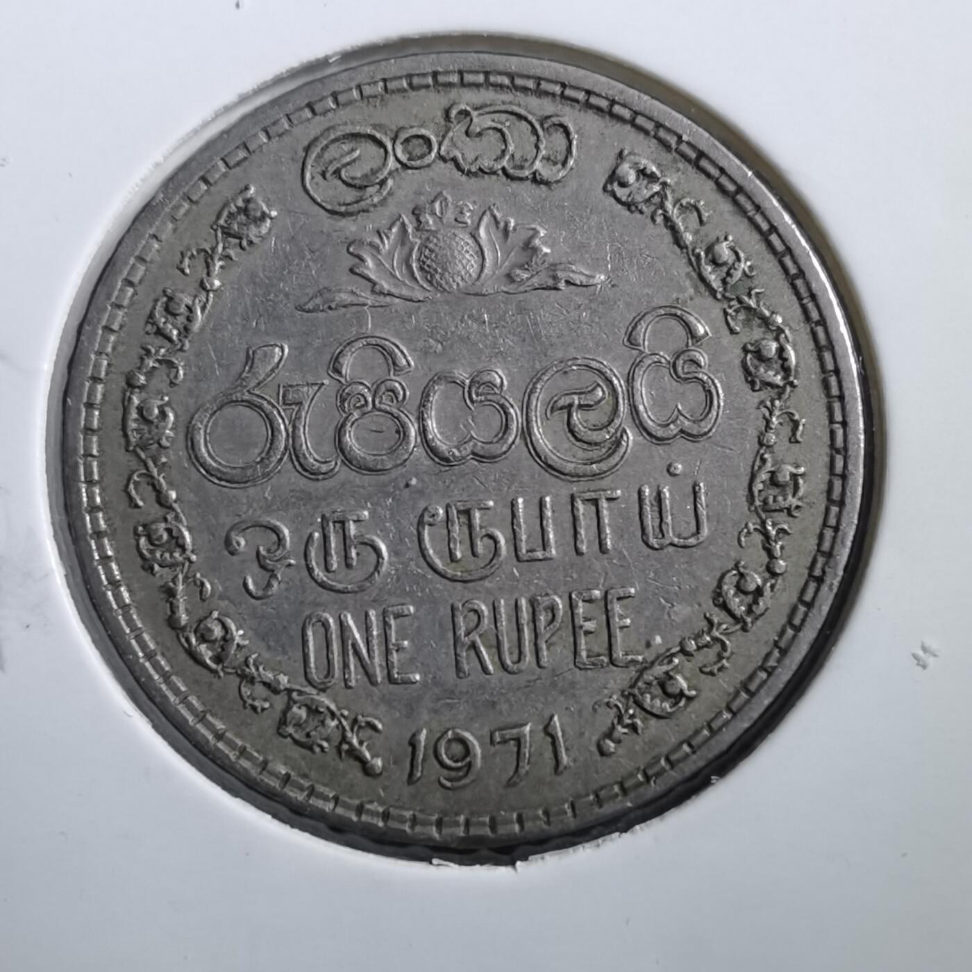 沼泽如烟--第708场