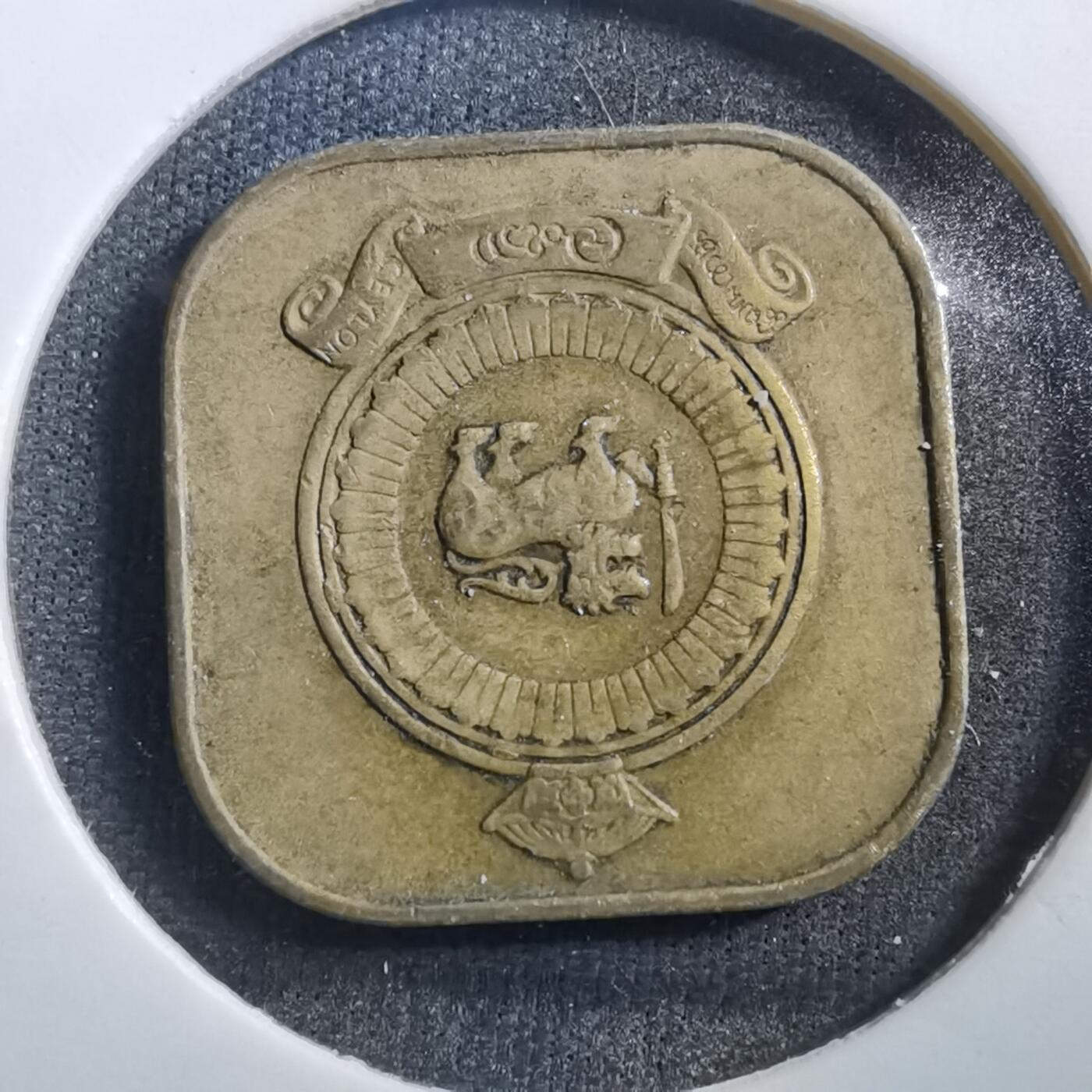 沼泽如烟--第708场