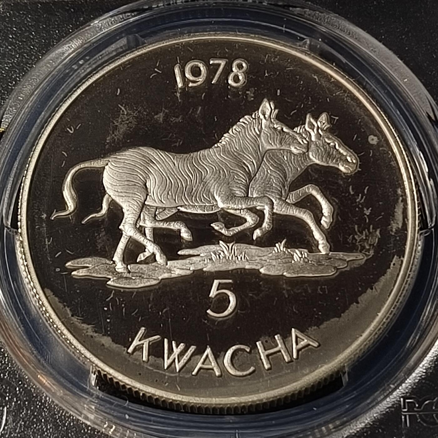 0起1加再包邮-纯粹捡漏拍-426套币银币场