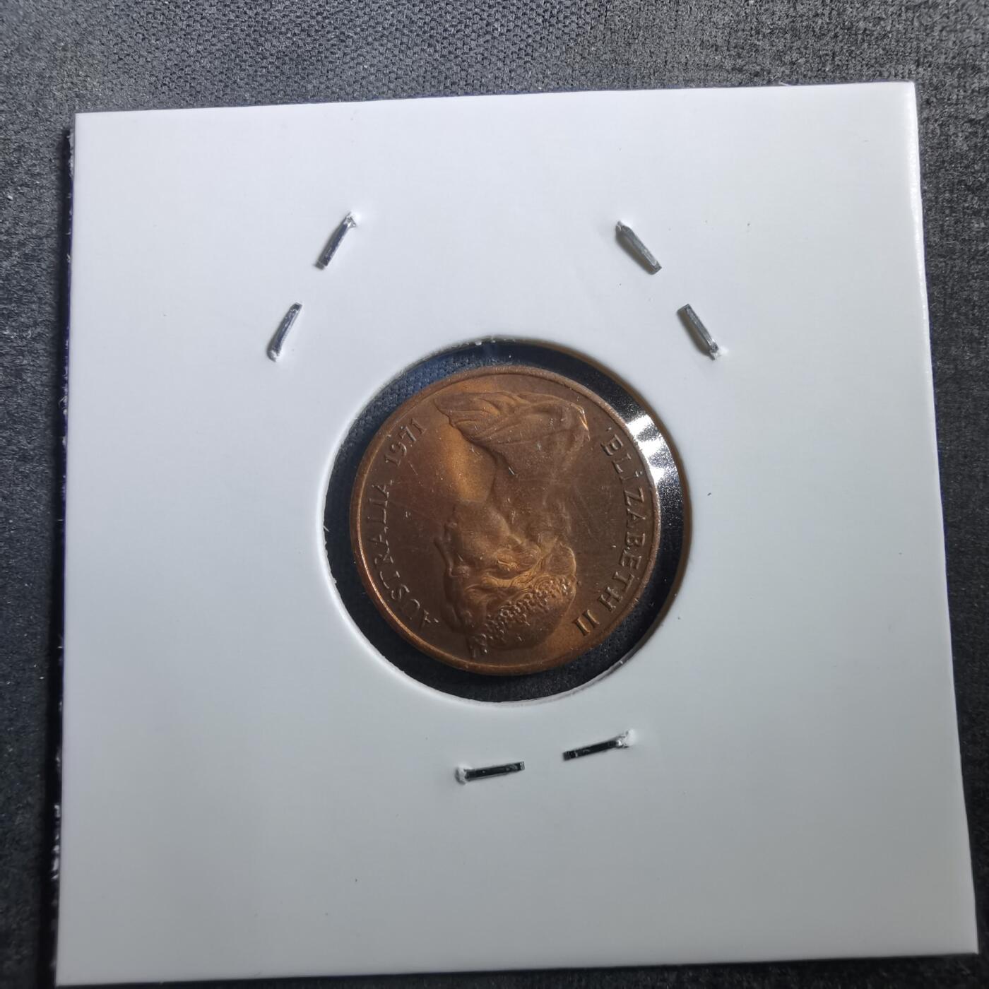 沼泽如烟--第708场