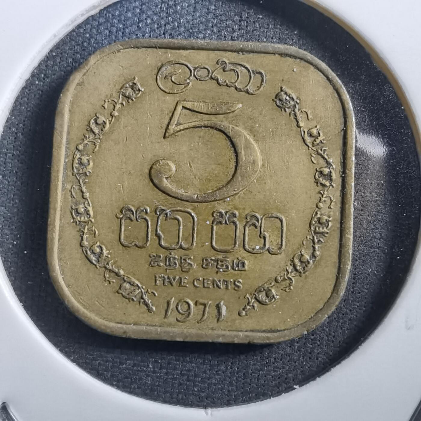 沼泽如烟--第708场