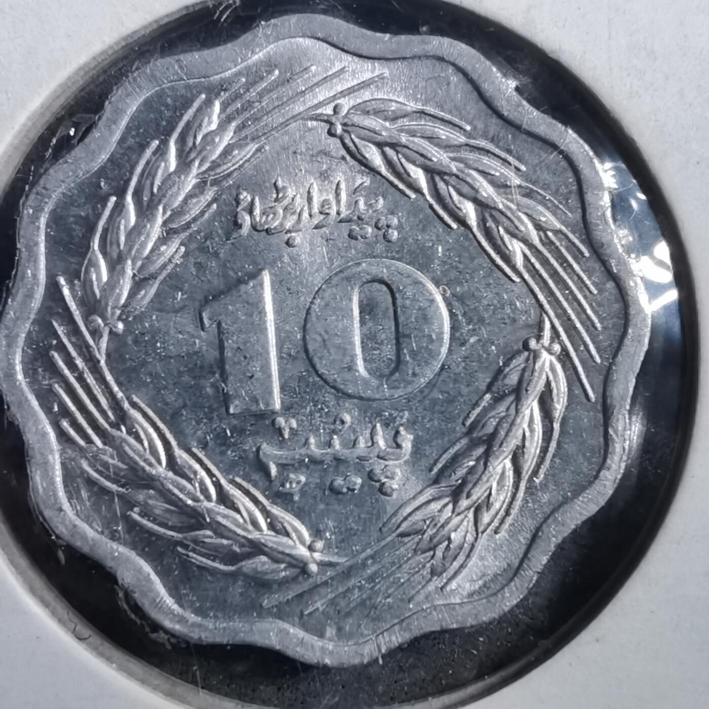 沼泽如烟--第708场