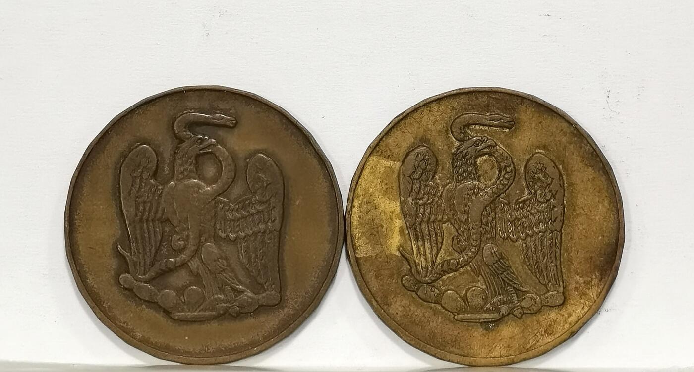 博洋堂世界钱币拍卖第122期（全场包邮） 墨西哥少见鹰洋代用币两枚