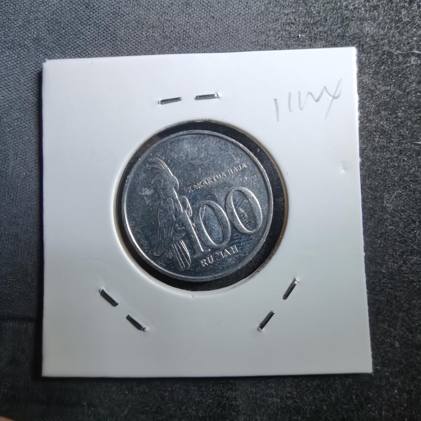 沼泽如烟--第711场