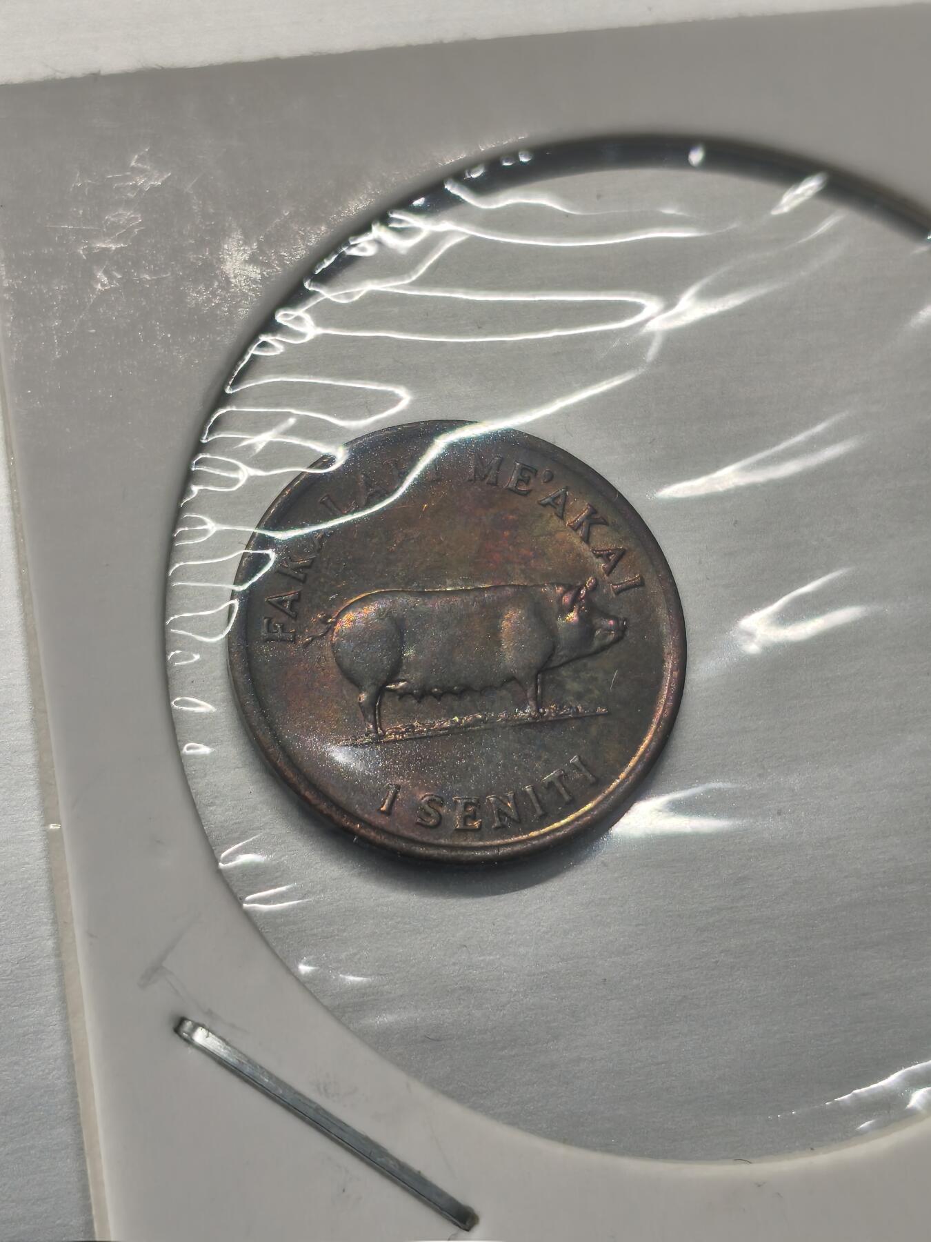 Krab外币市集Vol.9 汤加1975年FAO纪念币1生丁