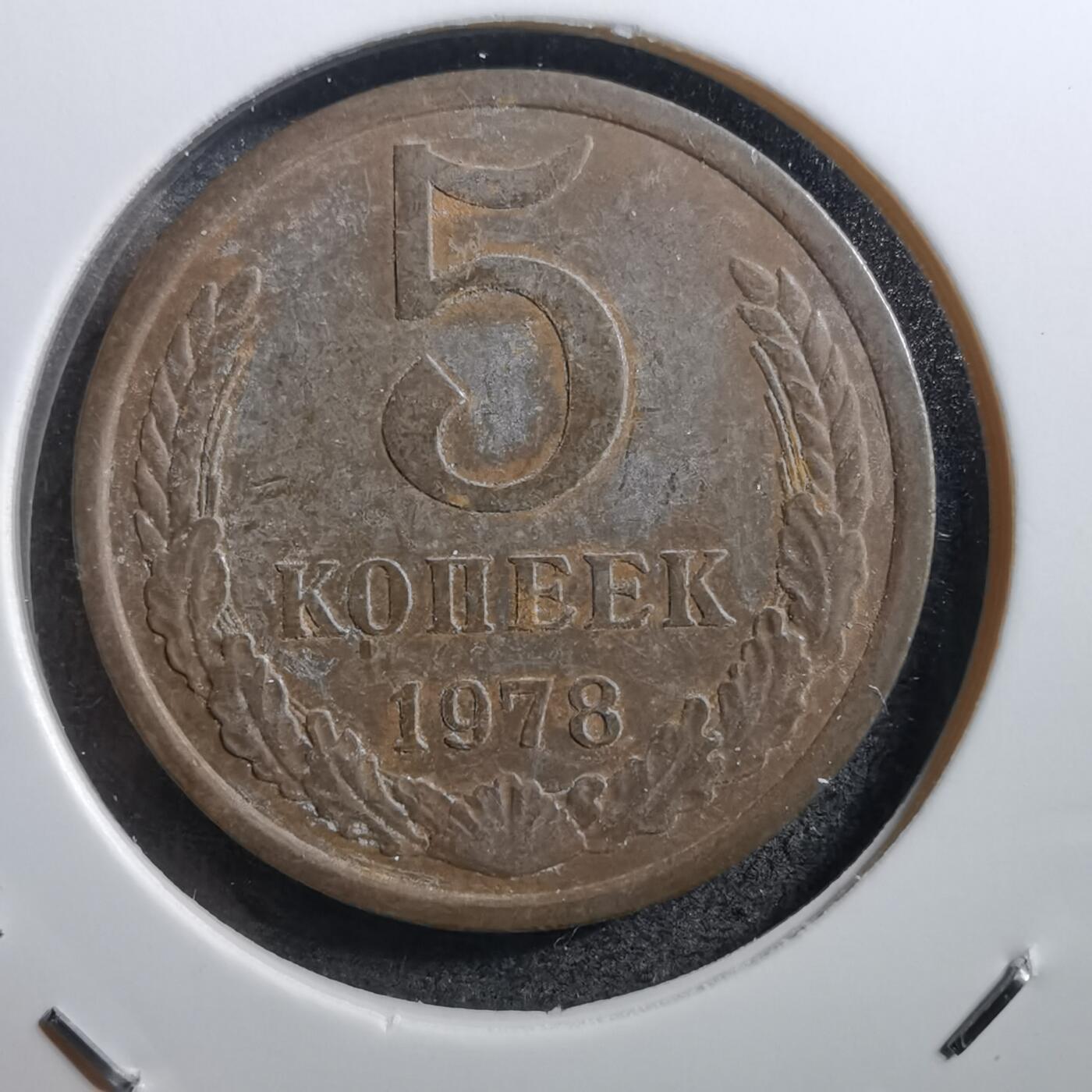 沼泽如烟--第711场