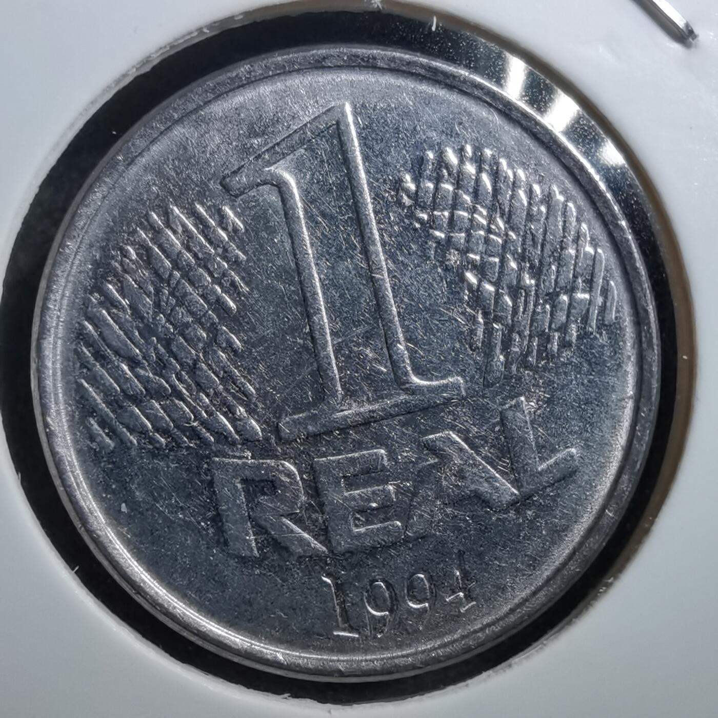 沼泽如烟--第711场