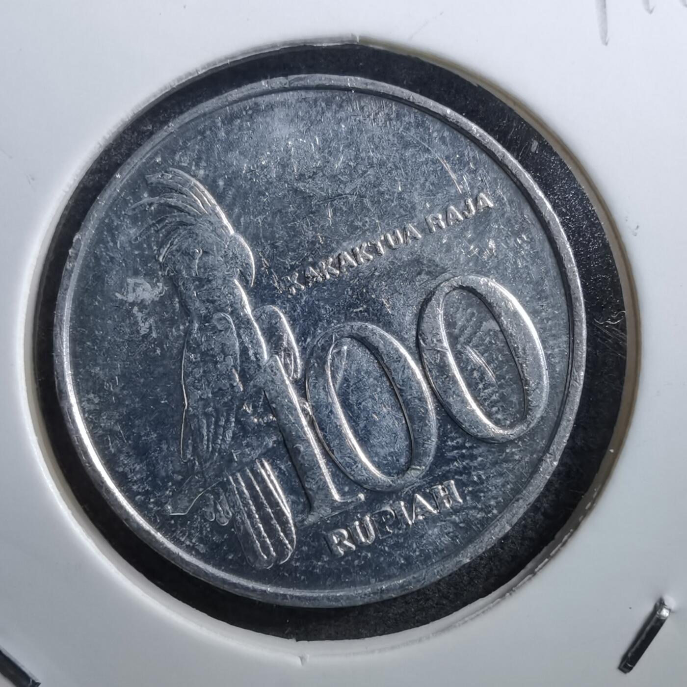 沼泽如烟--第711场