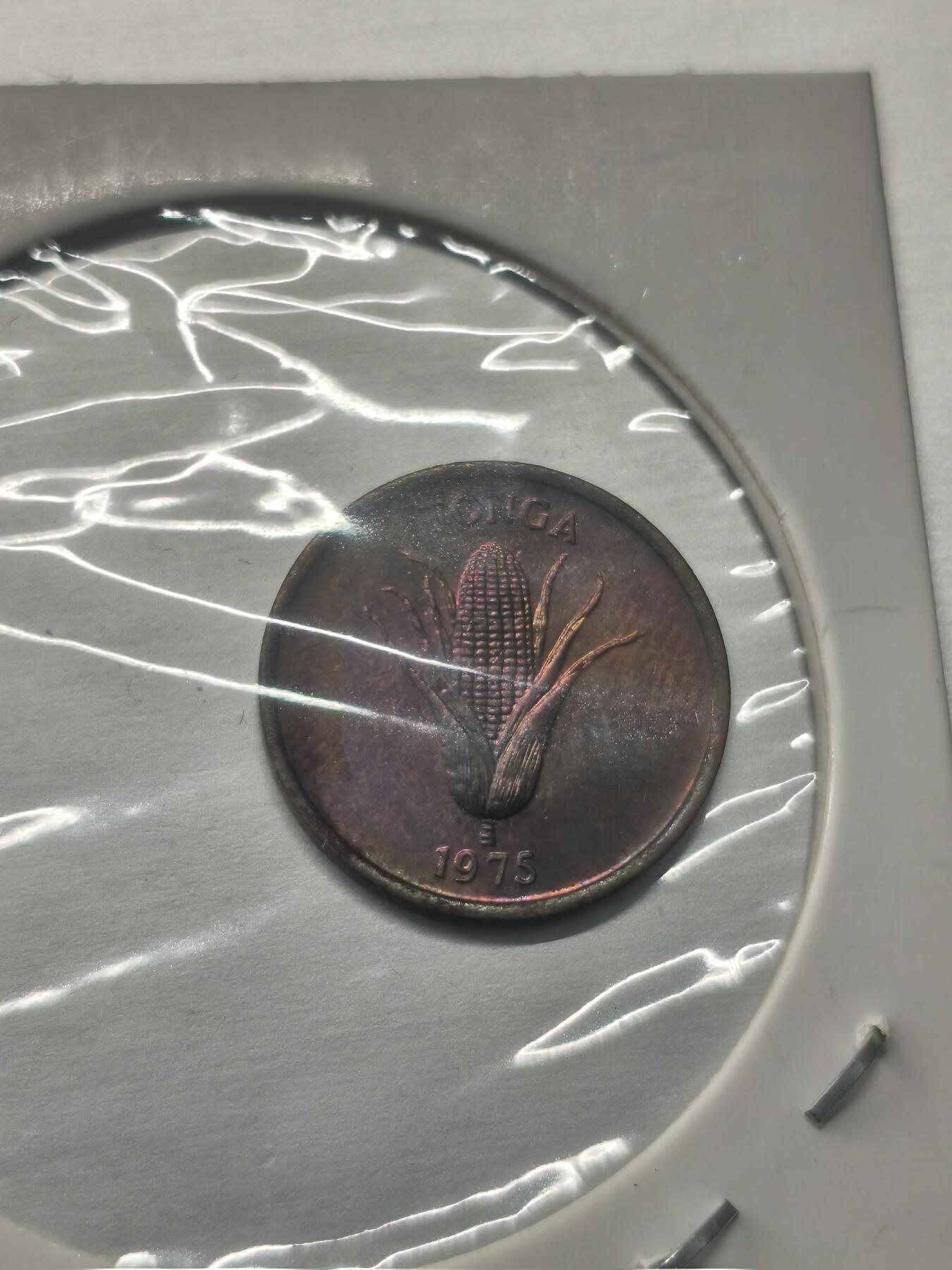 Krab外币市集Vol.9 汤加1975年FAO纪念币1生丁