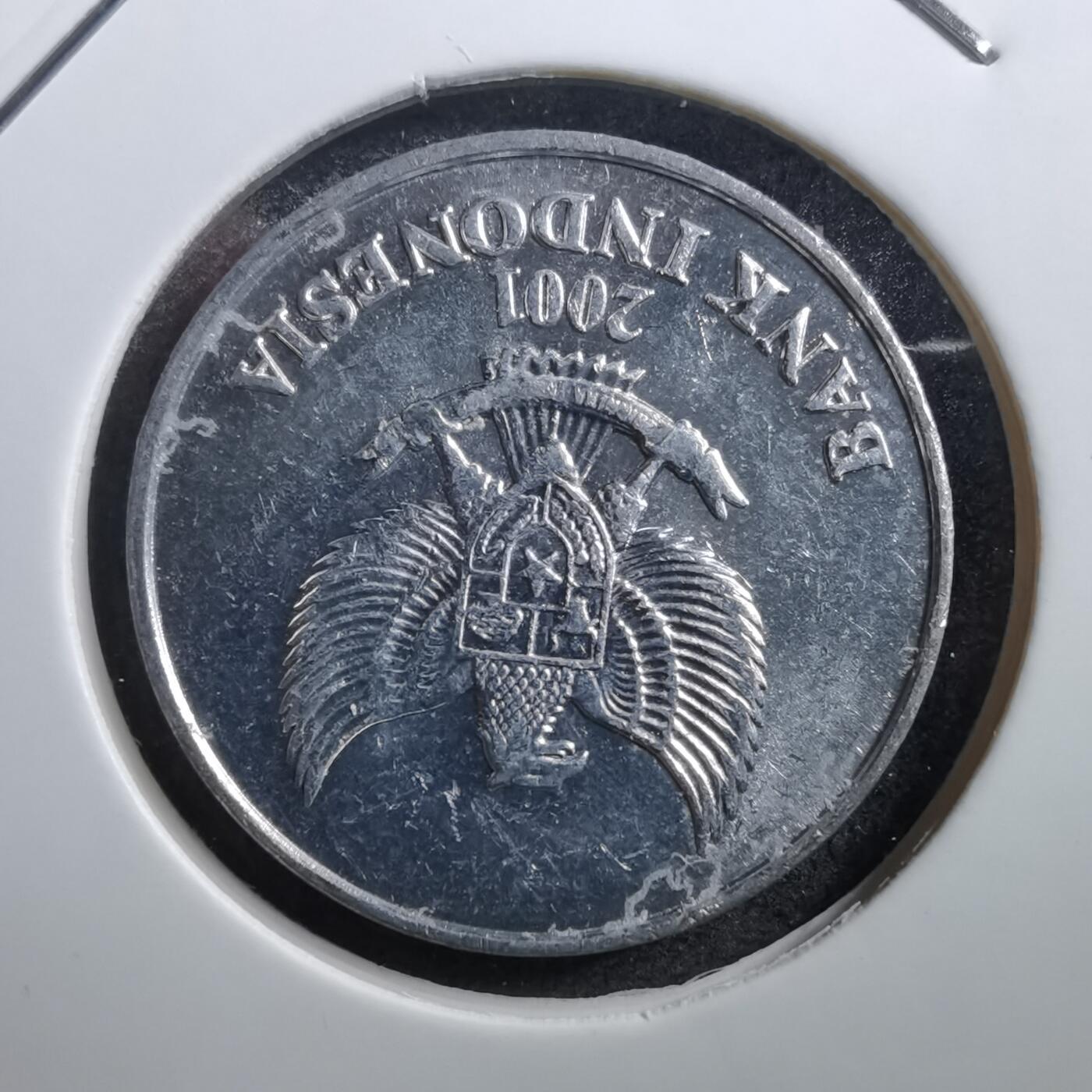 沼泽如烟--第711场