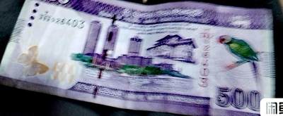 斯里兰卡2021-22年500卢比纸币3枚 斯里兰卡2021-22年500卢比纸币3枚