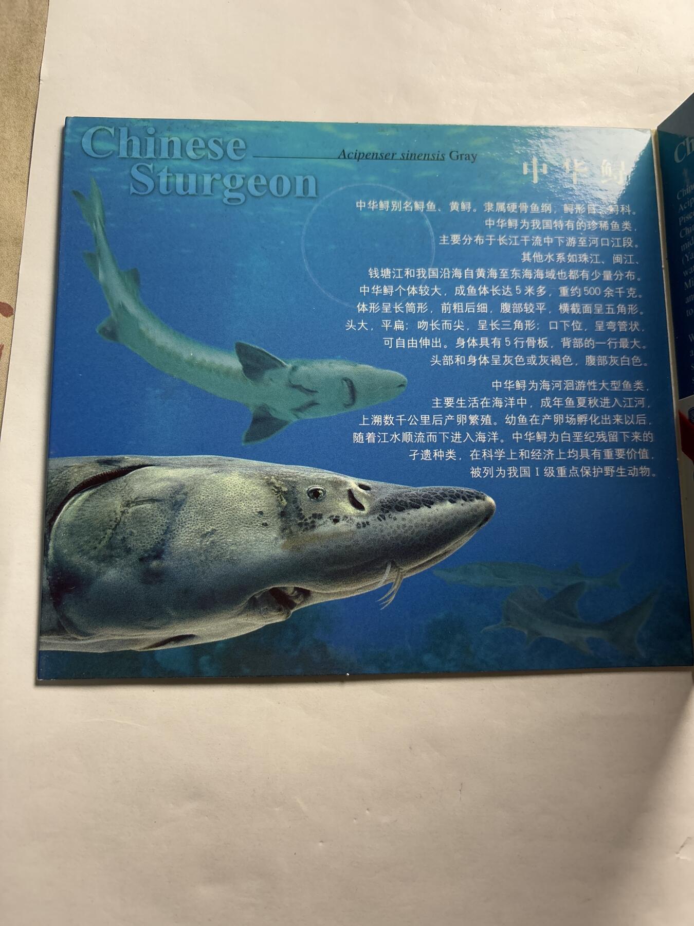 文馨钱币收藏第 244 场，各国古铜币，英系场，寄存时间为 2 个月，请悉知 全新 1999 年中国珍稀野生动物中华鲟纪念币五元，由北京康银阁装帧发行带证书