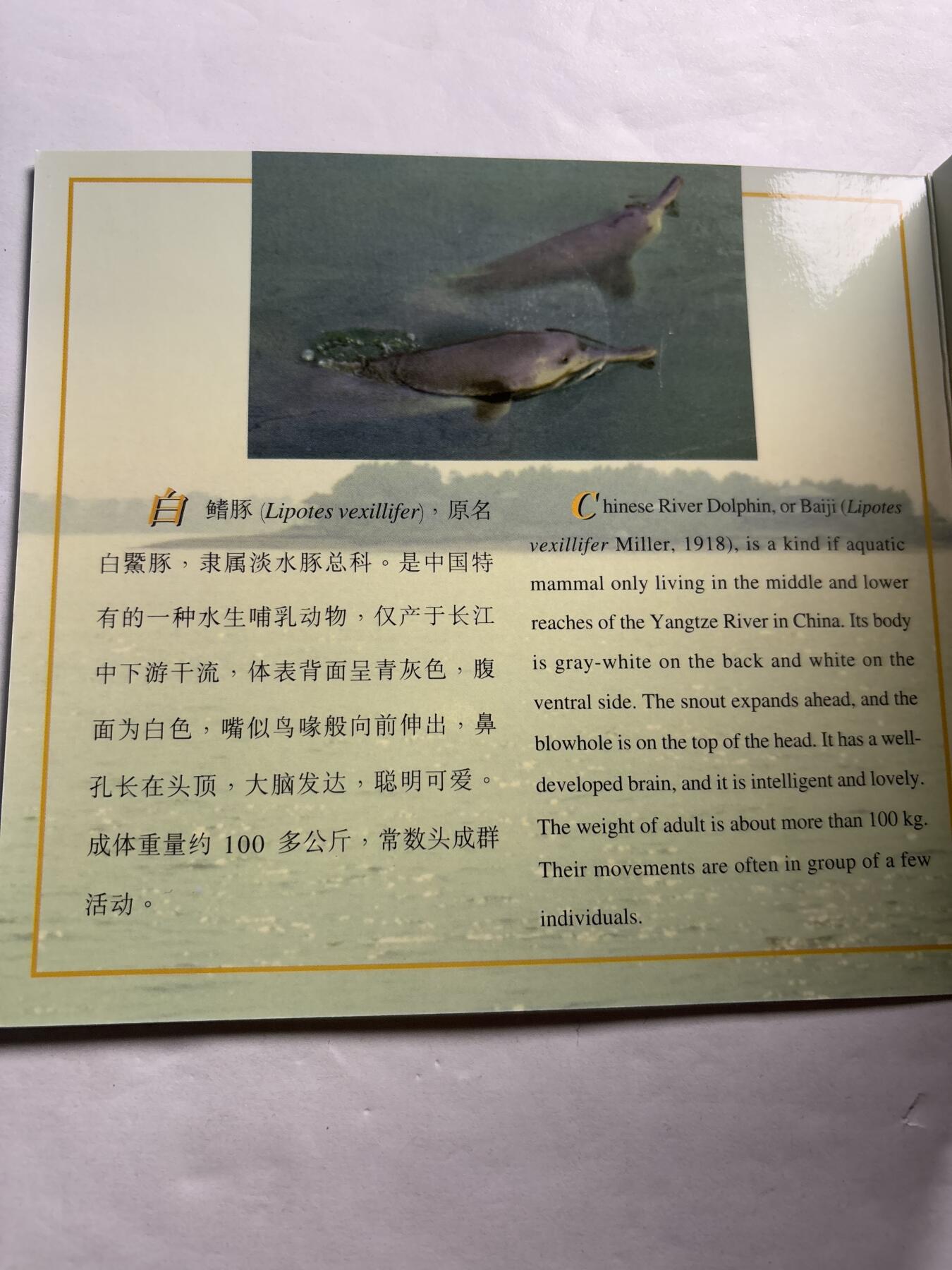 文馨钱币收藏第 244 场，各国古铜币，英系场，寄存时间为 2 个月，请悉知 全新 1996 年中国珍稀野生动物白鳍豚五元纪念币，由北京康银阁装帧发行带原膜