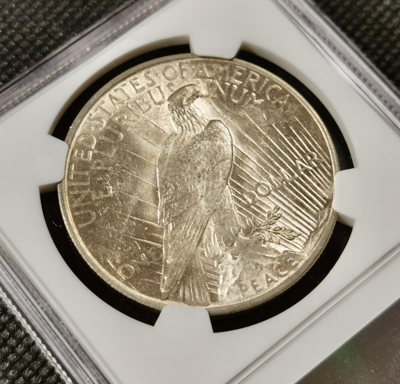  甄臻铺-美国银币专场-世界币章拍卖（第17期），送拍享返佣金等优惠多多 NGC-MS62 1923年美国和平银币，淡金色圆润包浆，低评