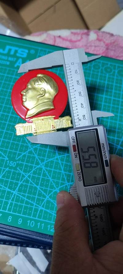 精品毛主席像章拍场 🔥大会堂异型🔥毛主席像章，