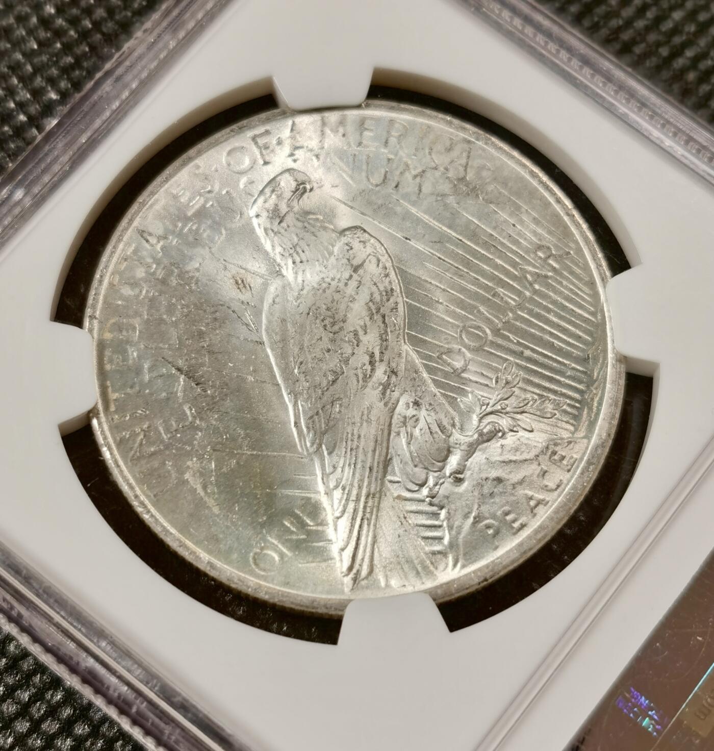  甄臻铺-美国银币专场-世界币章拍卖（第17期），送拍享返佣金等优惠多多 NGC-MS65 1923年美国和平银币，圆润包浆，老盒子，65的不常见