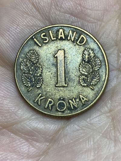 2025年第四十五场(总第七十一场）外国好品散币(免佣金) - 冰岛🇮🇸1973年1克朗(Large round-knob 3  大圆顶3版本)