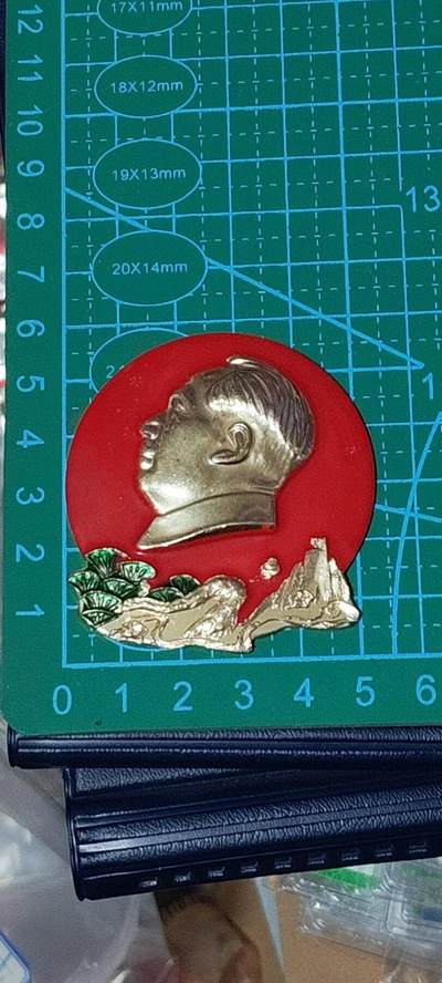 精品毛主席像章拍场 🔥彩章🔥毛主席像章，