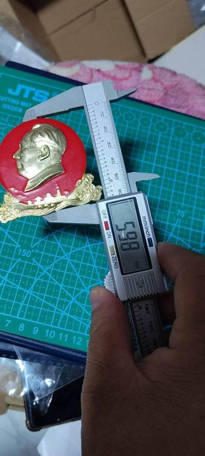 精品毛主席像章拍场 🔥飞机🔥军舰🔥毛主席像章，