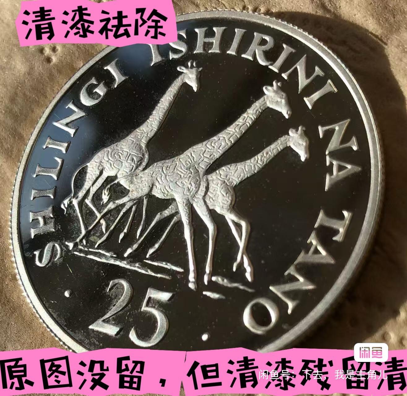 绝对值专业银币养护服务