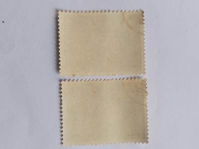 邮票专场 1962年 孙思邈纪念邮票。2枚。