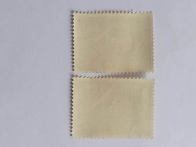 邮票专场 1962年 沈括纪念邮票。2枚。