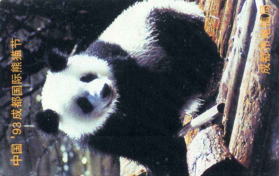 中国集卡电话磁卡专场拍卖（三十三） 四川熊猫1全新