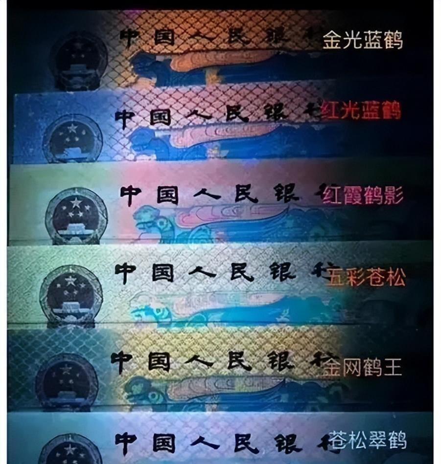四版805倒置号强荧光品种