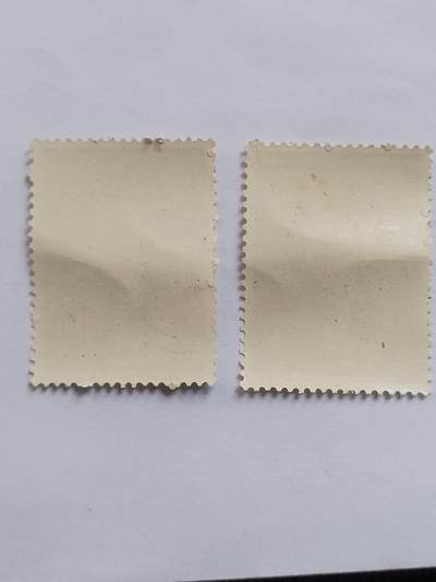 邮票专场 1962年 蔡伦纪念邮票。2枚。