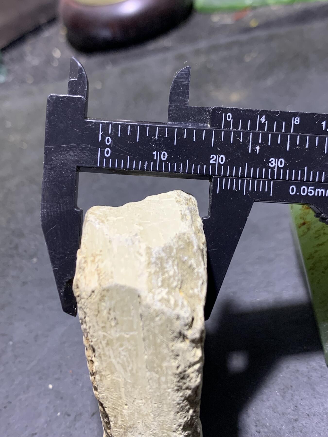 精美天然湘西三叶虫尾巴化石王冠虫张氏虫古生物化石标本原石一颗