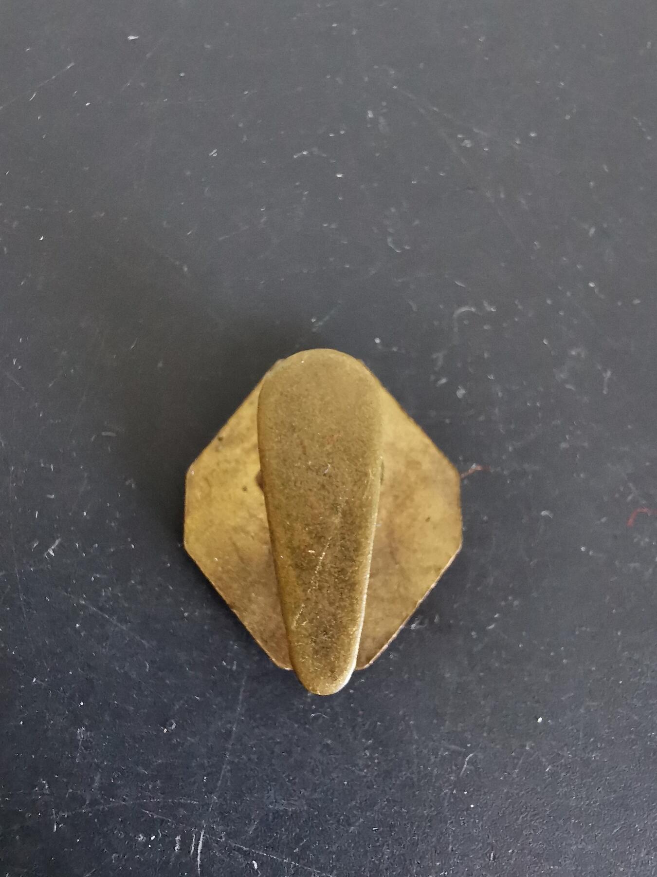 老王徽章第120期