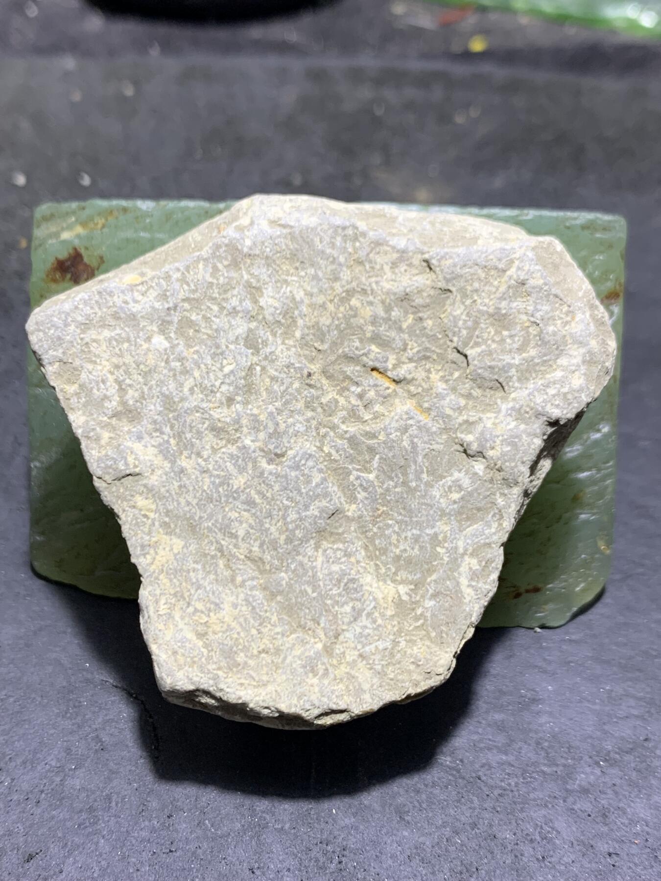 精美天然湘西三叶虫尾巴化石王冠虫张氏虫古生物化石标本原石一颗