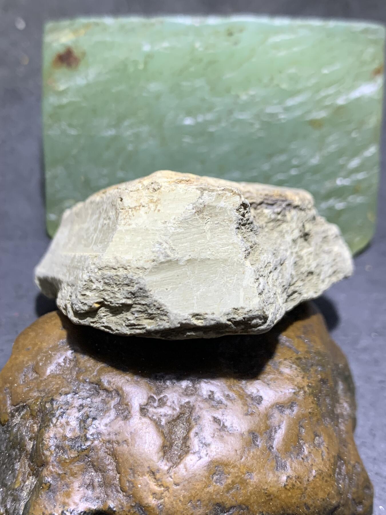 精美天然湘西三叶虫尾巴化石王冠虫张氏虫古生物化石标本原石一颗