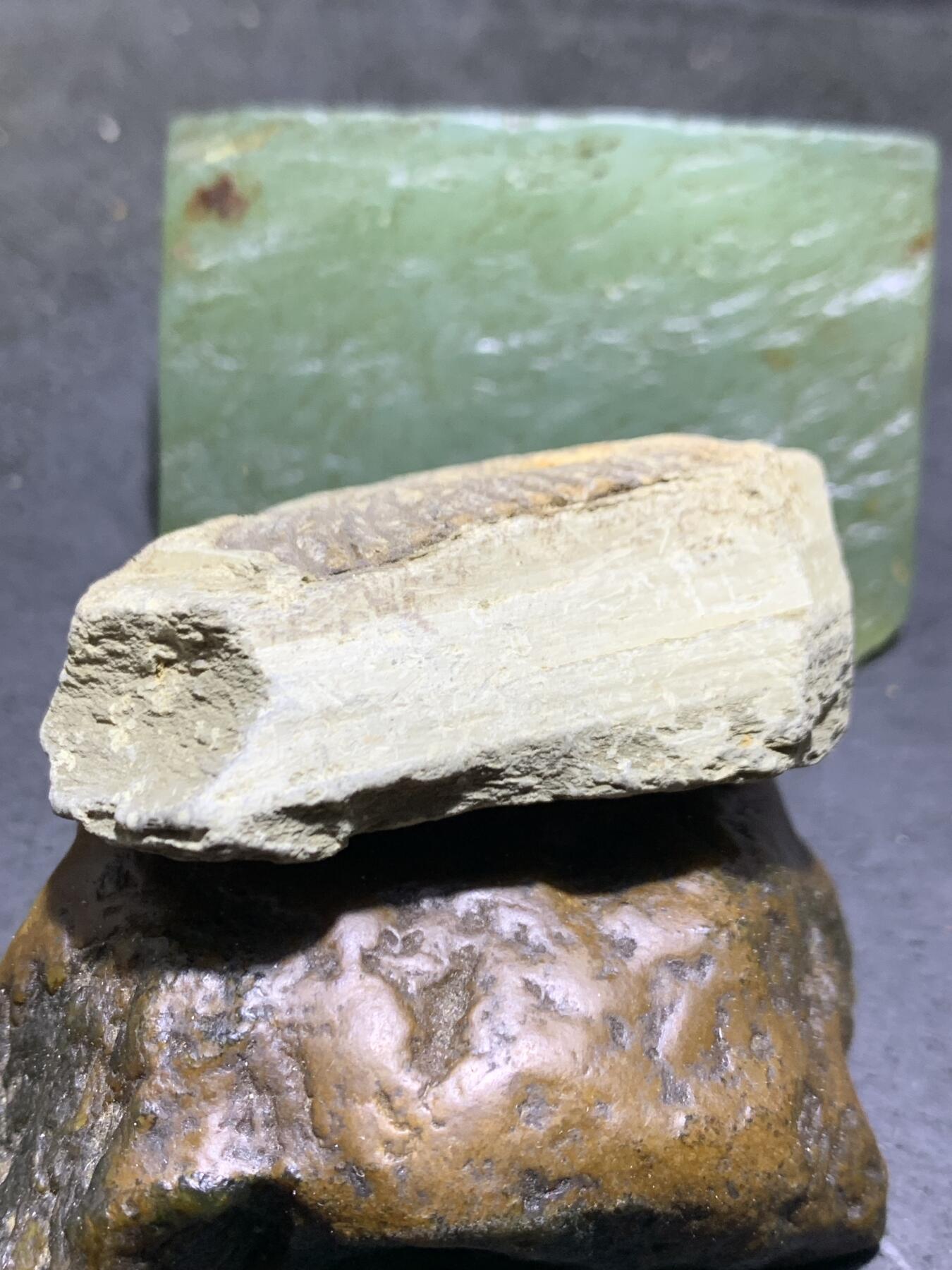 精美天然湘西三叶虫尾巴化石王冠虫张氏虫古生物化石标本原石一颗
