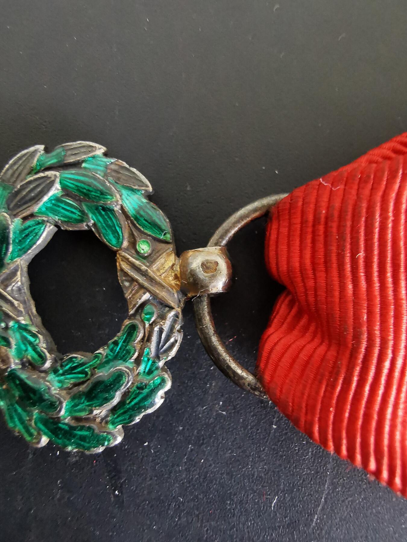 老王徽章第120期