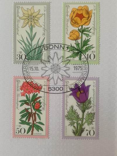 德国邮票纪念卡——出生卡（出世纸），1974、1975年全年齐拆零拍 1975/17  1975.8.14   社会福利附捐邮票，阿尔卑斯山花卉